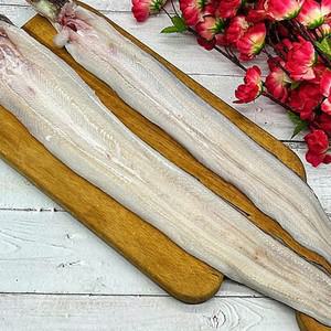 통영 자연산 손질 바다장어 2kg