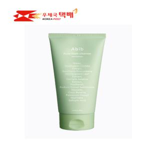 아비브 아크네 폼 클렌저 어성초 250ml 1개
