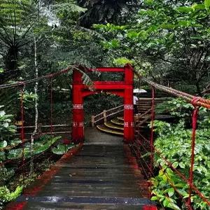 [밤도깨비] 대만/야류/지우펀 2박 4일 #핫딜최저가 #스펀천등날리기