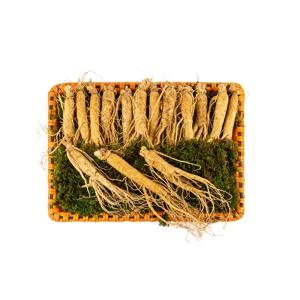 풍기인삼 자가경작 6년근 삼우리 수삼 인삼선물세트 대 750g(8-9뿌리)