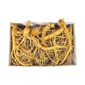 풍기인삼 자가경작 6년근 난발삼 종이각 포장 750g(18-24뿌리)