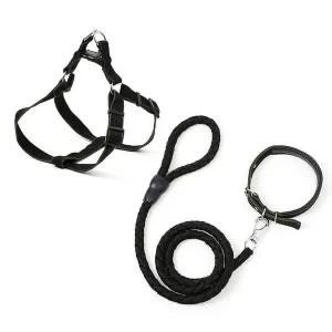 [콩심팥심]대형견 목줄 하네스 M 블랙 밤 목걸이 여름 물림