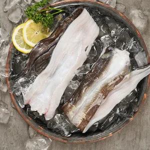 국내산 바다장어 1kg