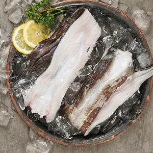 국내산 바다장어 1kg