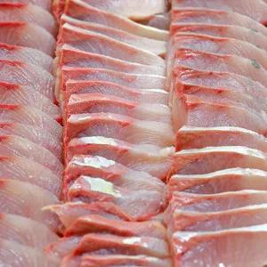 [자연맛남]8kg이상 제철 대방어 필렛 500g (배꼽살+김+초장 포함)