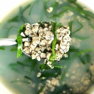 [산해직송]섬진강 재첩국 500g x 10팩