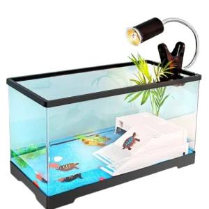거북이 수조 어항 반수생 키우기 오픈형 수족관 투명