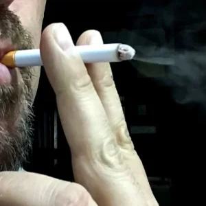 연기나는 가짜담배 모형 연극 소품 담배 2개입 페이크