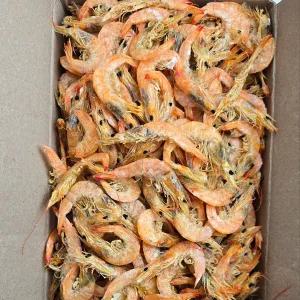 [바다찬미]가락시장직송 국내산 최상급 햇 국물새우 1.5kg 중하새우 중화새우 국물용 건새우