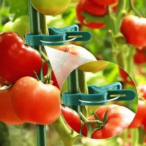 [콩심팥심]원예용 플라스틱 집게 식물고정 줄기 결속 소 10p