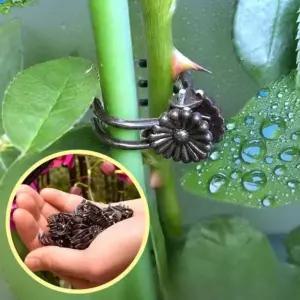 [오너클랜]원예 용 덩쿨 넝쿨 식물 고정 핀 지지대 집게 줄기 삔 1개