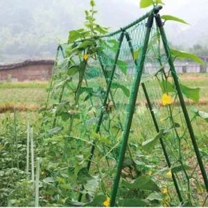 [오너클랜]식물넝쿨 비닐하우스 가든네트 오이 호박 덩굴 지지대 0.9 x 1.8m