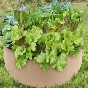 베이지 부직포 텃밭 화분 옥상 정원용 실내 화초 재배화분