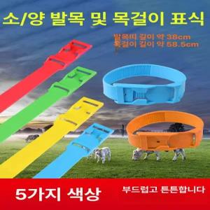 목장가축인식표 소 양 10개세트 100개 송아지