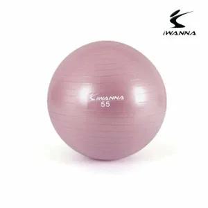 안티버스트 짐볼 55cm 와일드 핑크