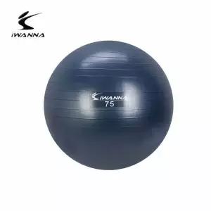 안티버스트 짐볼 75cm 블루인디고