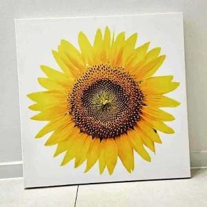 돈 들어오는 해바라기 큰 꽃송이 액자 인테리어액자