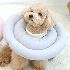 고양이 쿠션 넥카라 그레이 M 강아지 깔대기 핥음방지