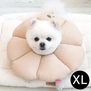 패리스독 꿀잠 넥카라 베이지 XL