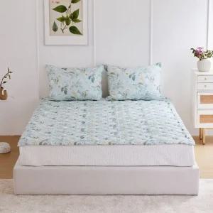 [갤러리아] 오릴리아 모달 패드 SS