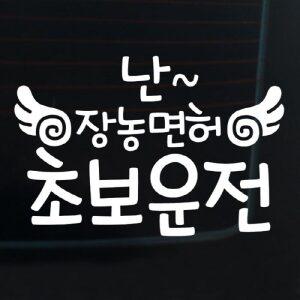 [뭉키월드][LSC-399]글씨 난 장농면허 초보운전