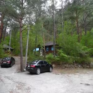 [강원 펜션] 양양 숲속의집펜션 (양양(서피비치,낙산))