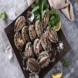 [산지직송]완도전복 12-13미(횟감,구이,선물용) 1kg_산소포장