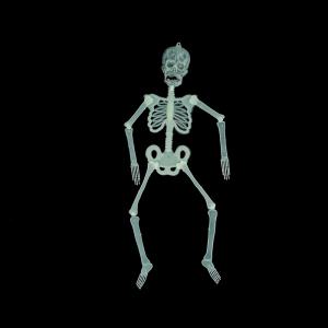 할로윈 야광 전신 해골 (소) 할로윈 장식 공포 소품