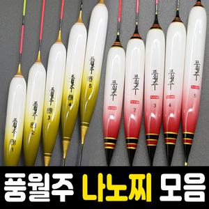 풍월주 나노찌 프리미엄 백작 대물찌 올림찌