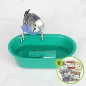 거울욕조 앵무새 장난감 소형새 목욕통 모이통 물놀이