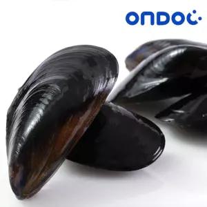 손질세척 생 홍합 5kg