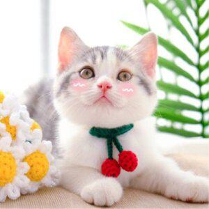 [예보들] 강아지 고양이 방울 목걸이 인식표 목줄