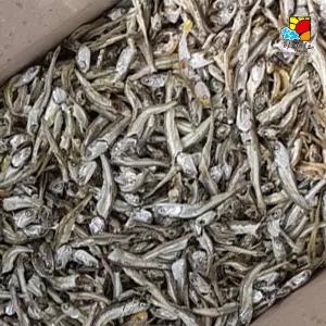 아침미소 고바멸치 중 1.5kg