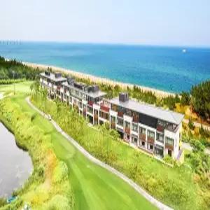 [강원] 메이플비치 리조트(강원, 강릉)