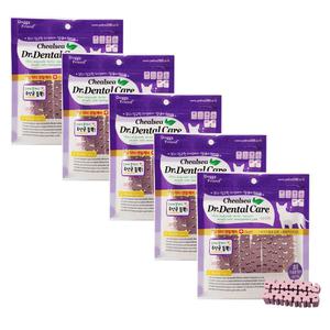 닥터 덴탈케어 유산균100g X 5개 개껌 간식