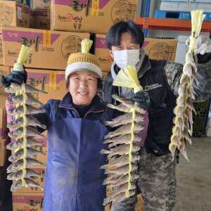 영광 참조기 조기굴비 선물세트 1.2kg 20미