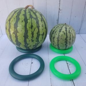 고정링 호박 과일 망고 수박링 도넛 대형 작물 과수받침대 플라스틱 원형 참외 다용도