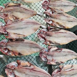 임연수어 이면수 새치생선 구이용 조림용 당일조업 반건조 손질 국내산 2kg