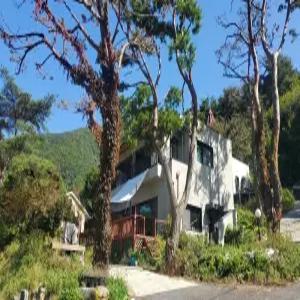 [충북] 갤러리하우스펜션(충북, 단양)