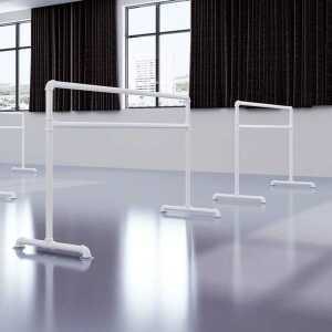 발레바 학원 발레 봉 개인레슨 무용바 전공 레슨용