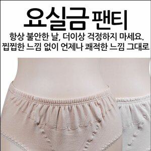 [기타]빅사이즈 맥시 요실금팬티 110까지 2개