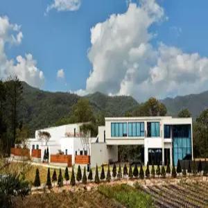 [강원] 까미노데플로레스타(강원, 홍천)