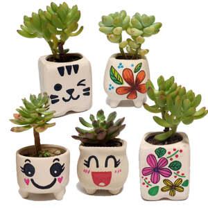 md 만들기대장 다육식물 화분꾸며만들기 다육이키우기 다육화분꾸미기 색칠하기 공기정화 식물키우기