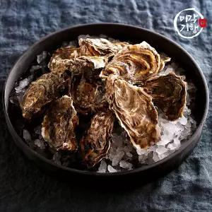 미각기행 통영 석화 5kg