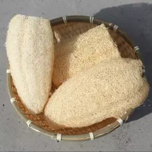 친환경수세미 5개 - 잘만든 국산 10~15cm 천연수세미