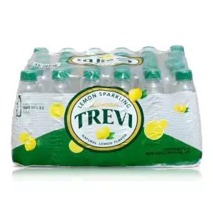 롯데 트레비 탄산수 레몬 무라벨 300ml 30개