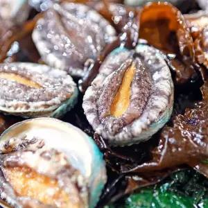 [통영수산물시장] 통영 활 전복 1kg (14~15미)