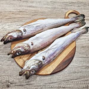 반건조 코다리 10미  42-45cm)