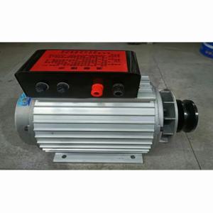 영구 자석 발전기 저속 기어리스 제네레이터 고효율