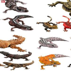 갑옷도마뱀 거들테일 아르마딜로 모형 리자드 곤충 거북이 리저드 미포함 도마뱀 오믈렛 작은